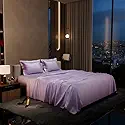 Home stoa paris double bedsheet with 2 pillow covers